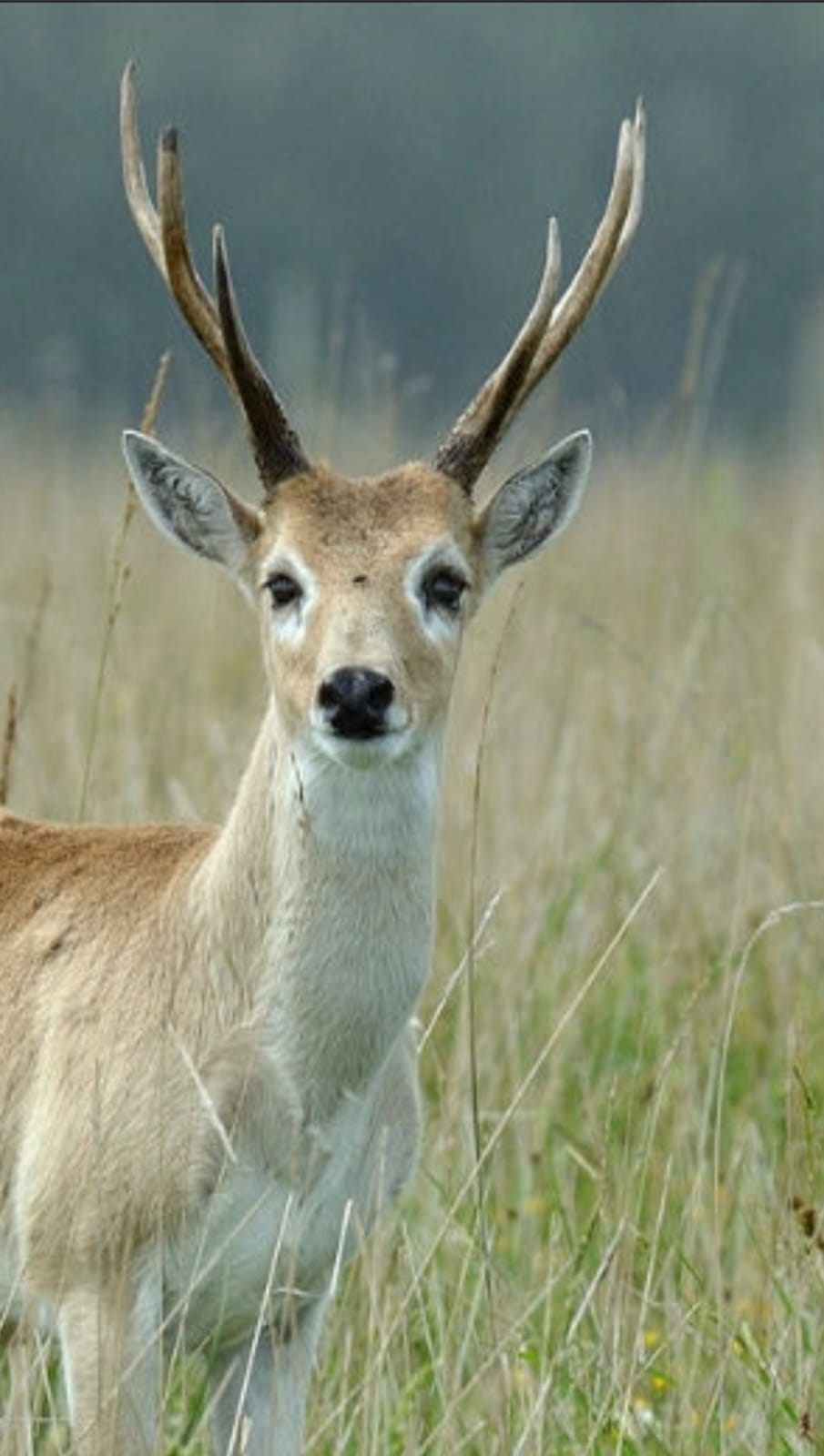 WhatsApp Image 2024-01-30 at 2.48.06 PM